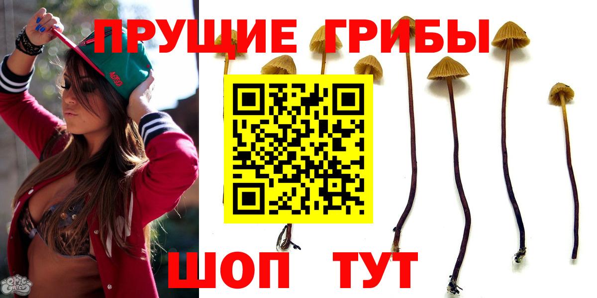 Галлюциногенные грибы прущие грибы Кстово